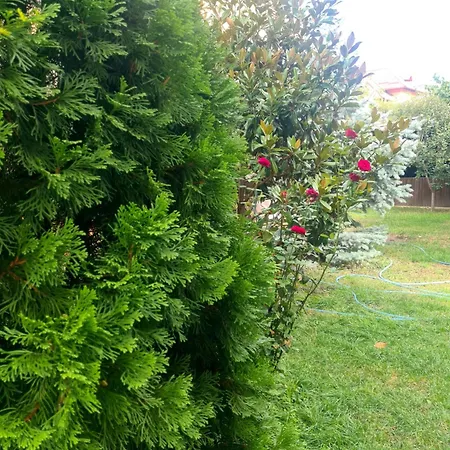 Hotel Jolie Boutique Hotel Corp B