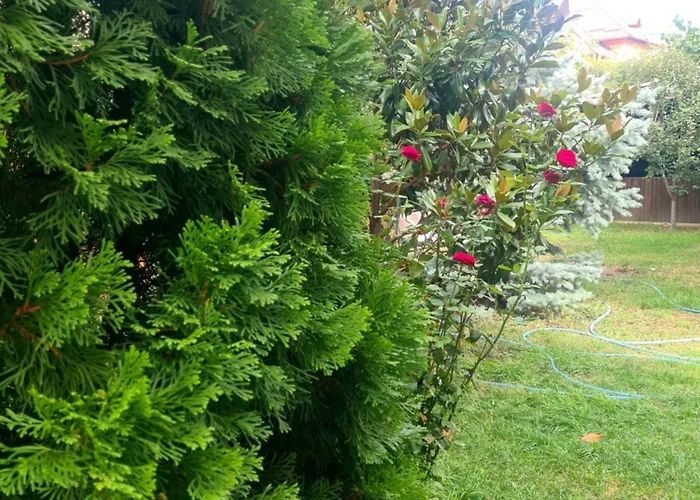 Hotel Jolie Boutique Hotel Corp B